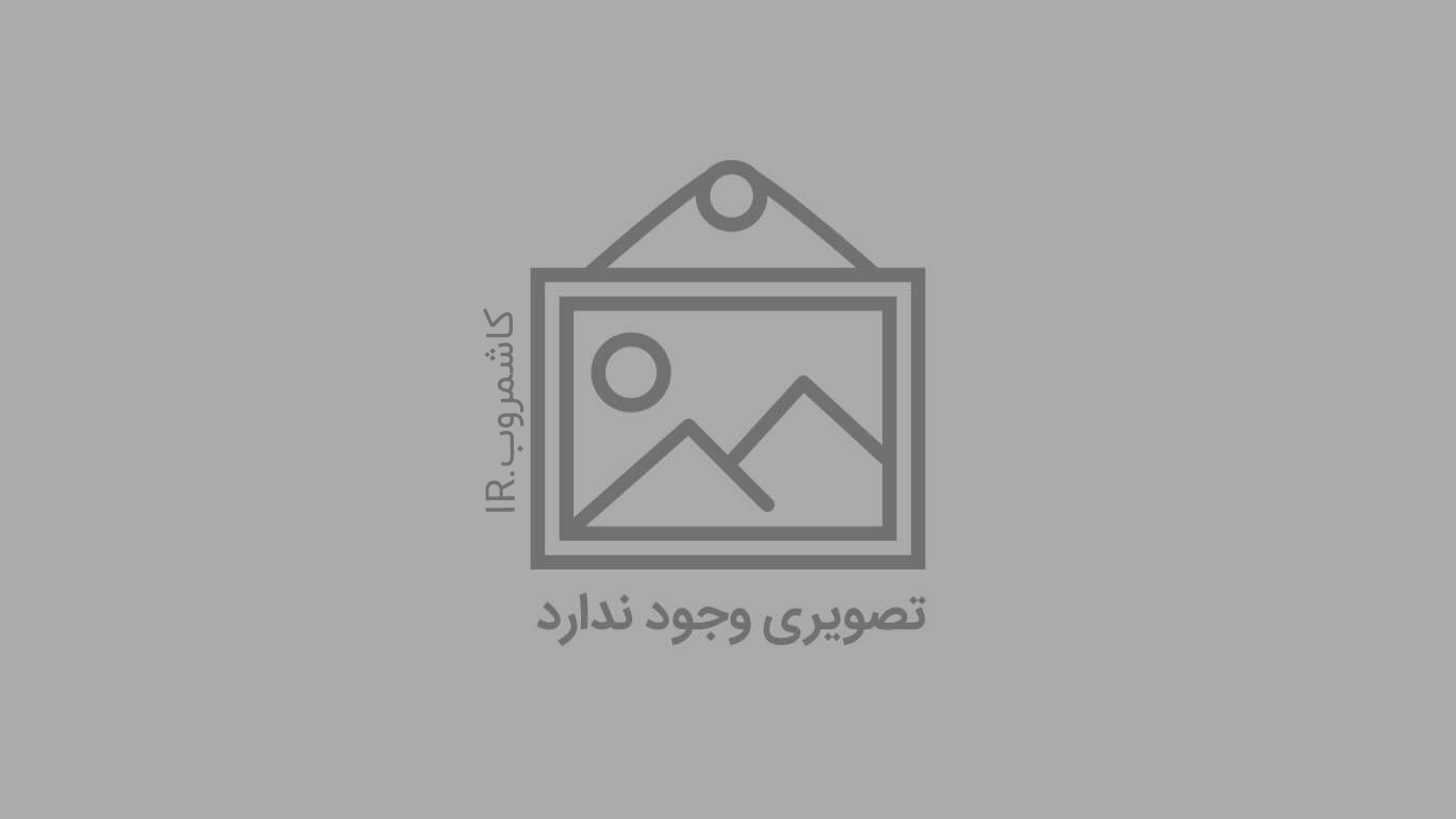 گزارش خبری:عاشورایی حسینی محله بساط بیگی ۱۴۰۱