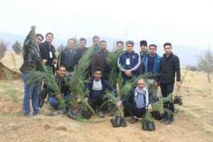 ۲۵۰۰ اصله درخت در کوهدشت کاشته شد+تصاویر