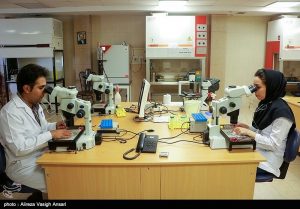 رئیس جهاد دانشگاهی استان لرستان: مرکز رویان در استان لرستان راه‌اندازی می‌شود