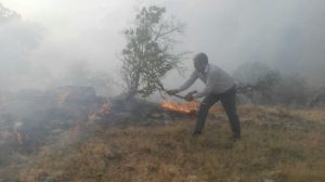 مهار آتش سوزی در منطقه شورابه بخش کوهنانی+تصاویر