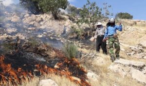 ۷۲ ساعت آتش‌سوزی در جنگل‌های کوهدشت؛ خاکسترنشینی بلوطستان