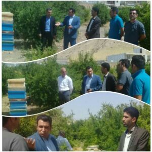 رئیس دادگاه عمومی بخش کوهنانی  از طرح تولید عسل در منطقه تنگ سیاب مشکلات آن بازدید کرد.