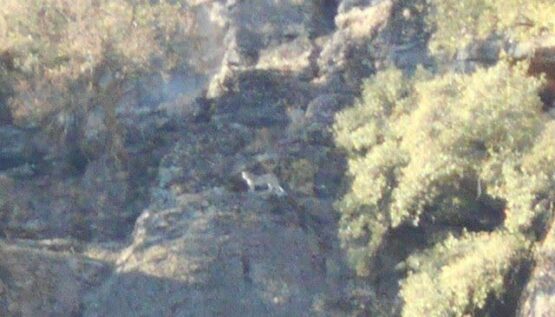 سومین مشاهده گونه ارزشمند و نادر پلنگ ایرانی در سال جاری در زیستگاه‌های استان لرستان