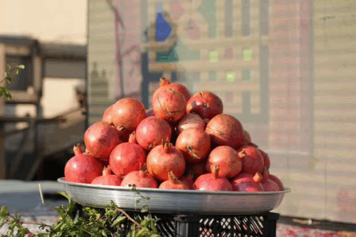 جشنواره ای که دلمان را خون کرد